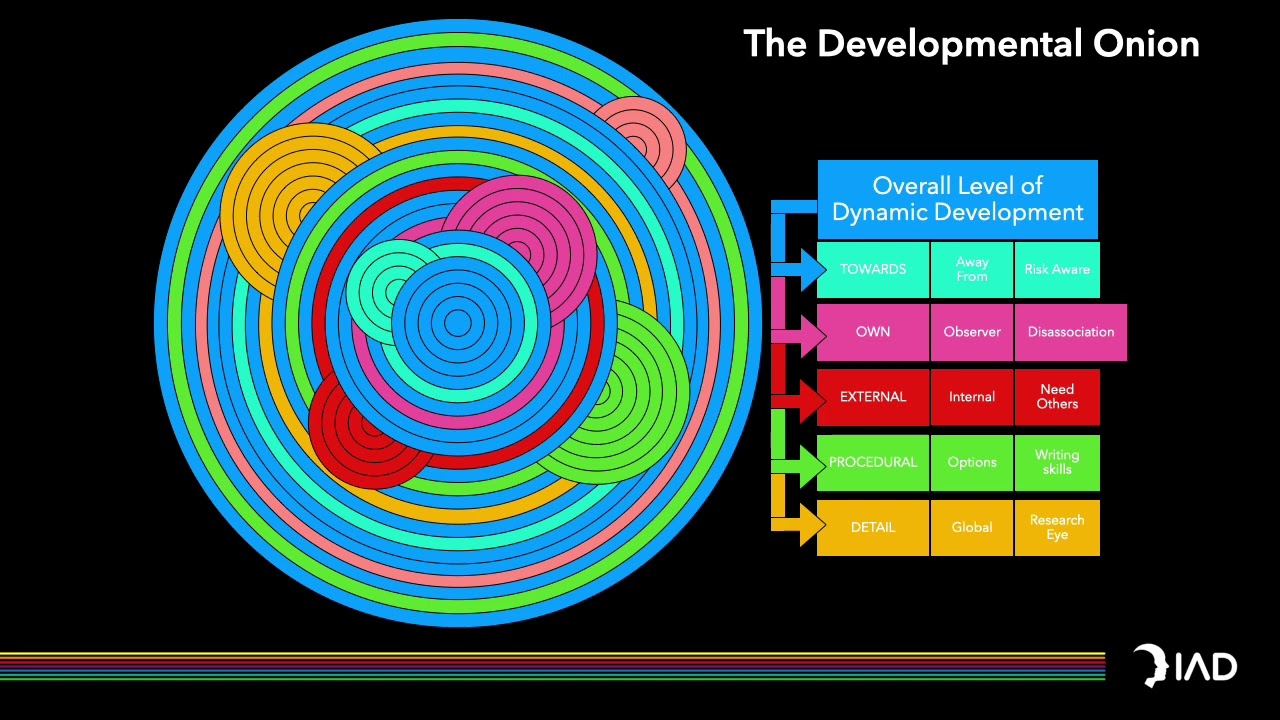 What is DYNAMIC INTELLIGENCE (and how it can make you SMARTER)?