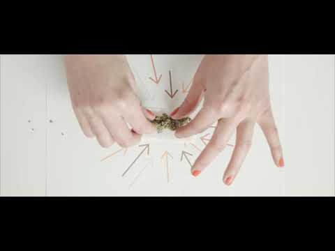 O jeito mais simples de se enrolar um baseado