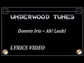 Donnie Iris Ah Leah 1980 W Lyrics