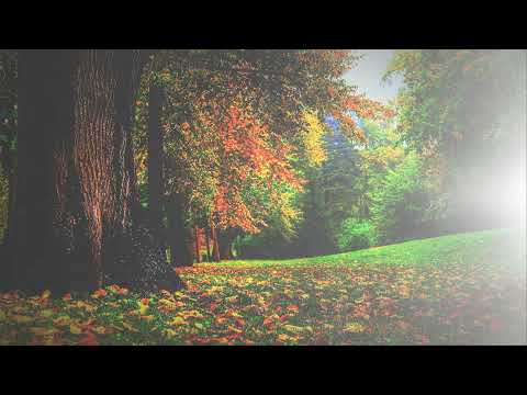 Živan Milić, Ruzmarine moj zeleni