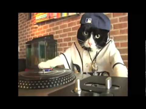 DJ Kitty - the REAL Original!