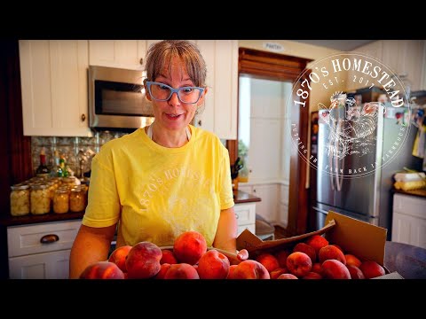 It's PEACH Processing Day |  Peach Salsa & Slices