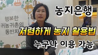 귀농귀촌 농지 임대 아주 저렴하게 임대할 수 있는 방법, 임대농지