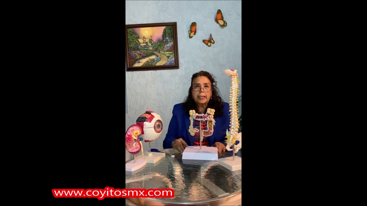 Watch modelos anatómicos mexico | ESTUDIANTE DE MEDICINA | CONSULTORIO MÉDICO Now modelos anatómicos mexico | ESTUDIANTE DE MEDICINA | CONSULTORIO MÉDICO