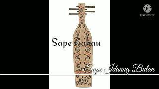 Download lagu sape idaang bulan ( bahau etnik ) mp3
