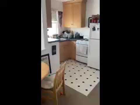 1828 Matson - Video 2 of 2