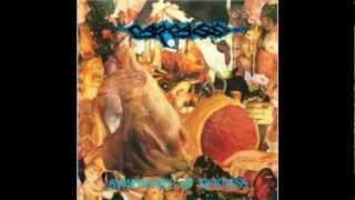 Carcass-Empathological Necroticism