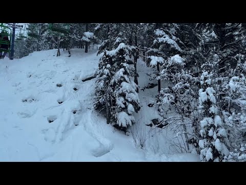 Best Tree Glade Riding In The Midwest