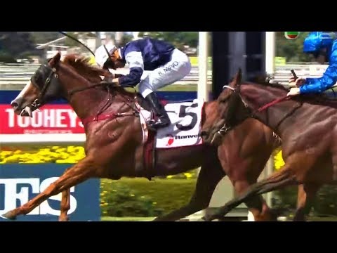 2016 Ranvet Stakes G1 - The United States (美國聯邦) - K.McEvoy