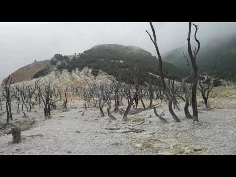 Huawei P40 Pro Raw Video and Sound Check (Original Record) Girl at Dead Forest