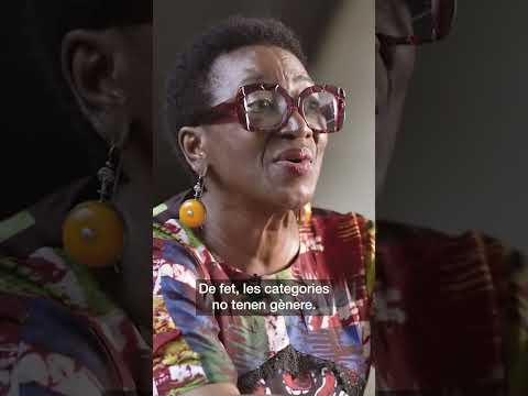 Oyeronke Oyewumi video 2
