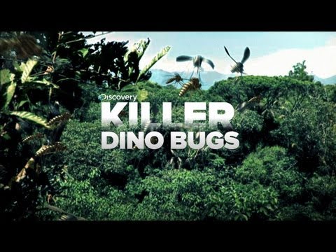 KILLER Dinosaur Bugs!