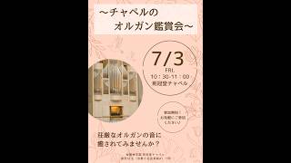 Download lagu リフレッシュの集いin桜美林（オルガン鑑賞会）260703 mp3