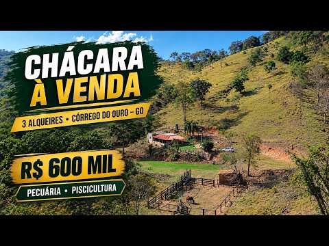 CHÁCARA À VENDA EM CÓRREGO DO OURO – GO | 3 ALQUEIRES COM PECUÁRIA E PISCICULTURA