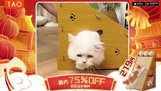 Download lagu JP JP MA362a item 905457240120 TMPL AEGC 0 1280x720 15 0 mp3