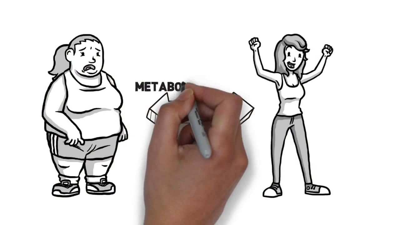 personalised diets and training programs