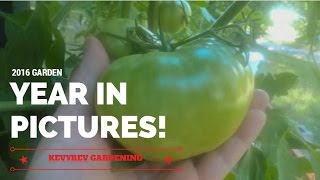 2016 Garden Year In Pictures!