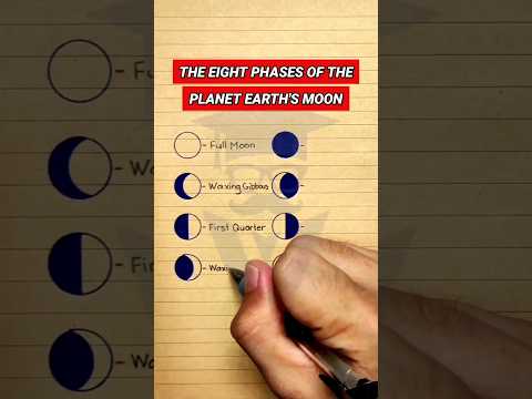 The 8 Phases of the Earth's Moon