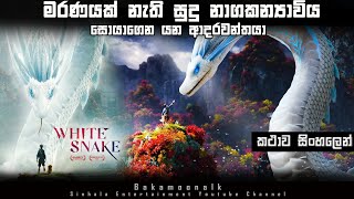 White snake animation movie explained Sinhala  ම