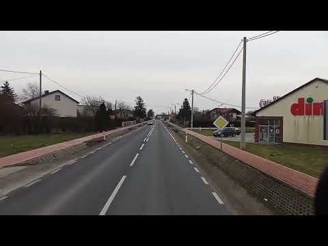 Potworów dk 48 dw 740 - 4.01.2023 (mazowieckie)