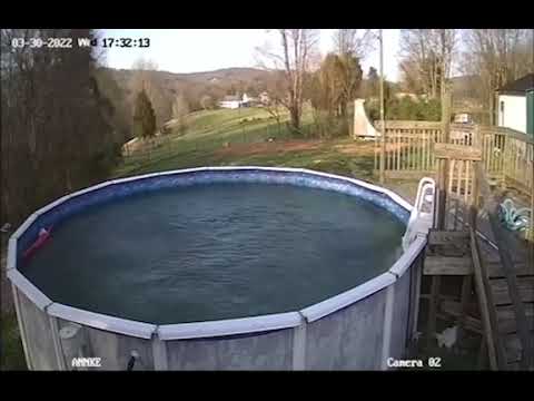 Strong Winds Cause Trampoline To Plunge Into Swimming Pool - 1307011
