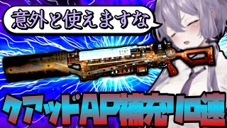 まあまあ使えるクアッドAP補充リロ速ガウスライフル『フォールアウト76』