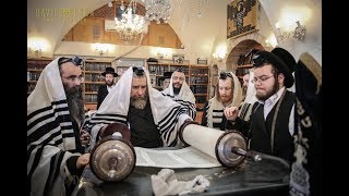 כ''ק האדמו''ר מרחמסטריווקא בקריאת התורה בצפת