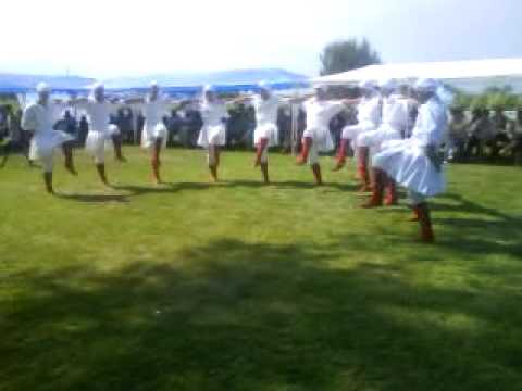 Ansambl Oro - OSOGOVKA Misleshevo