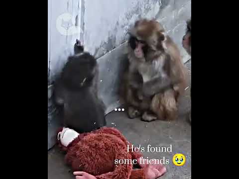 Creo que LO LOGRO 🥹 #mrrelevante #momentostristes #culturapop