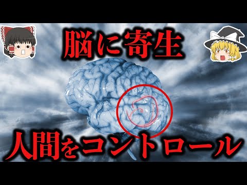 衝撃的:水道水で脳を蝕む寄生虫が発見される