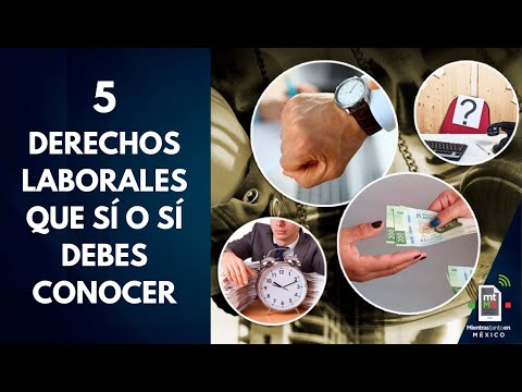 , title : 'Ley del Trabajo: 5 DERECHOS LABORALES que todos los empleados deben conocer | Mientras tanto en MX'