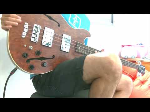 Zero 7 - Destiny - Bass War (8 basses)