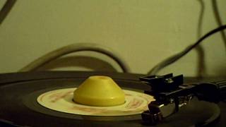 The Cryan&#39; Shames - It Could Be We&#39;re In Love 45 Record