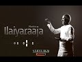 Ilaiyaraaja Best Bgm Punnagai Mannan Movie Bgm Maestro Ilaiyaraaja Sad Feeling Bgm VERVE BGM