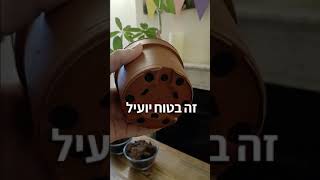 סרטון חשוב מאוד - מדוע צמחי בית רבים מתים במהלך החורף?