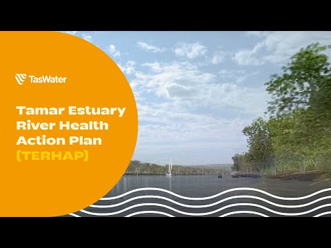 TERHAP - New Sewer Pipeline Virtual Flythrough Video