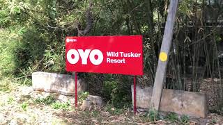 preview picture of video 'Wild Tusker Resort, Muthunga'