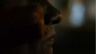 Psychic Ills "Travelin' Man" Official Music Video