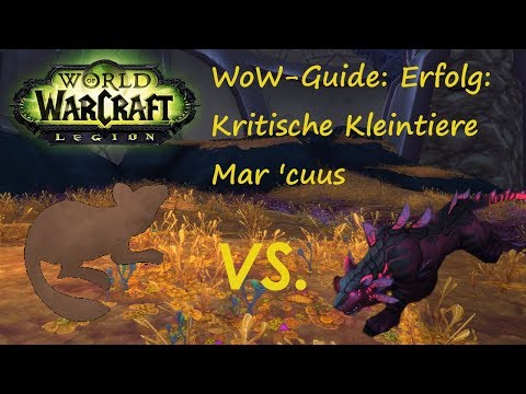 WoW-Guide: Erfolg: Kritische Kleintiere - Mar'cuus