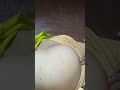 Im Injection For Nursing Students Tips And Tricks
