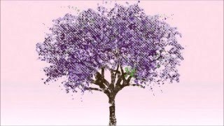 Eels &quot;Old Shit, New Shit&quot;