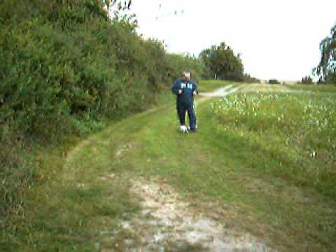 Amy Mops 11 Wochen alt