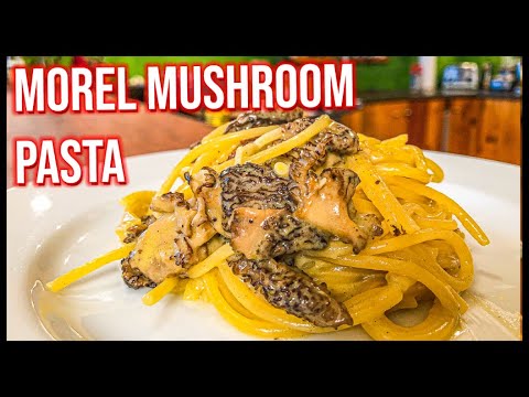 download lagu mp3 mp4 Fresh Morels, download lagu Fresh Morels gratis, unduh video klip Fresh Morels