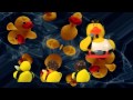My Ducky - The Quackadelics Rubber Duck Band ...