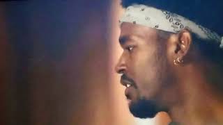 STAR season 2 (lil bird)