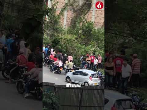 💔 Intentó salvarle la vida y terminó herido