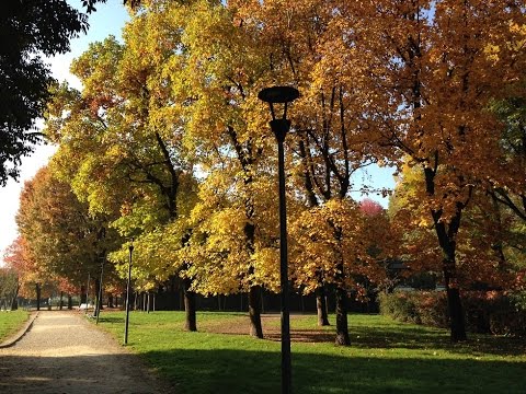 Spring summer winter and fall in Pallavicino