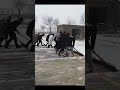 Collective snow shoveling