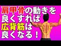 40-50代でも肩甲骨ちゃんと動く?肩甲骨の動きが良くなれば広背筋はもっと良くなる!背中のトレーニングの可動範囲を広げる!