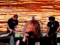 Anthrophobia - Adding Insults to Injuries